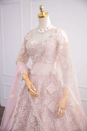 Blush Pink Net Lehenga with All-Over Elegant Embroidery Left