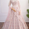 Blush Pink Net Lehenga with All-Over Elegant Embroidery